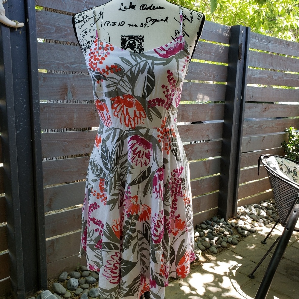 summer dress